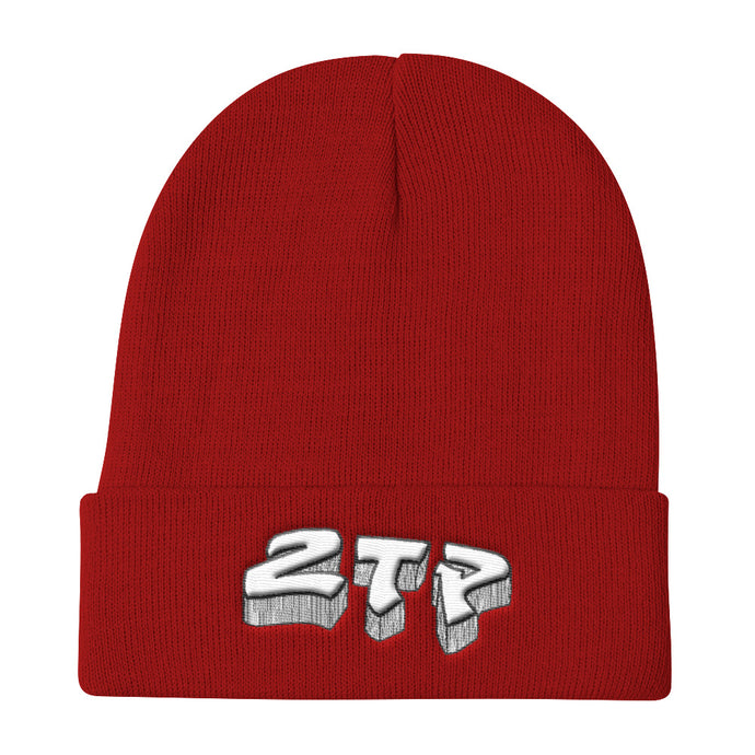 2 Tha Point 3D Letters Embroidered Knit Beanie